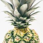 008期开奖结果公布,幸运号码震撼揭晓 60p4f7x11