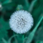 00221期最新开奖结果查询与中奖号码公布 6l0rhi