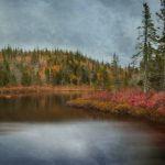 00902开奖结果最新公布,快来看看你中奖了吗? ka30e